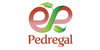07-pedregal